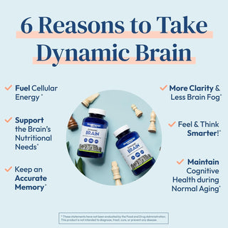 Stonehenge Health Dynamic Brain Supplement – Memory, Focus, & Clarity– Formulated with 40 Unique Nootropic Ingredients: Choline, Phosphatidylserine, Bacopa Monnieri, and Huperzine A