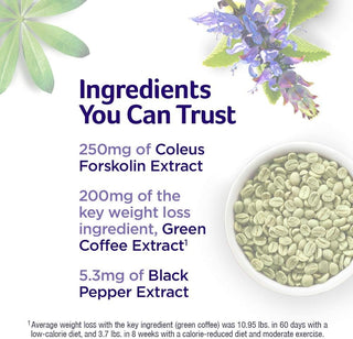 Forskolin for Weight Loss Purely Inspired Forskolin + Lean Lose Weight with Green Coffee Bean Extract Weight Loss Pills for Women & Men Weightloss Essentials Non-Stimulant, 60 Count